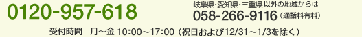 t[R[ 0120-957-618 򕌌EmȊO̒n悩 058-266-9116iʘbLj t `10F00`17F00ijy12/31`1/3j